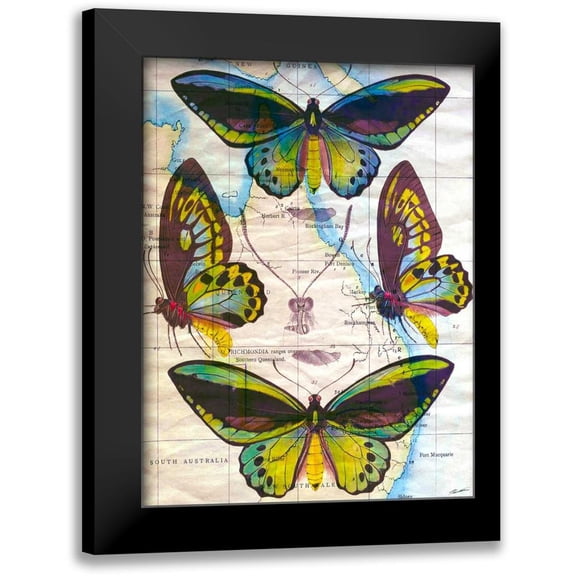 Butler, John 19x24 Black Modern Framed Museum Art Print Titled - Butterfly Map III