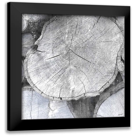 Butler, John 20x20 Black Modern Framed Museum Art Print Titled - Logging Light IV