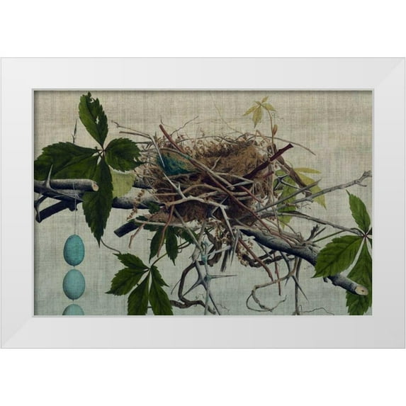 Butler, John 24x17 White Modern Wood Framed Museum Art Print Titled - Nesting I