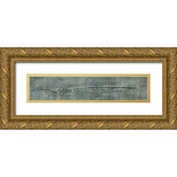 Butler, John 24x8 Gold Ornate Wood Framed with Double Matting Museum Art Print Titled - Fossil Imprint II
