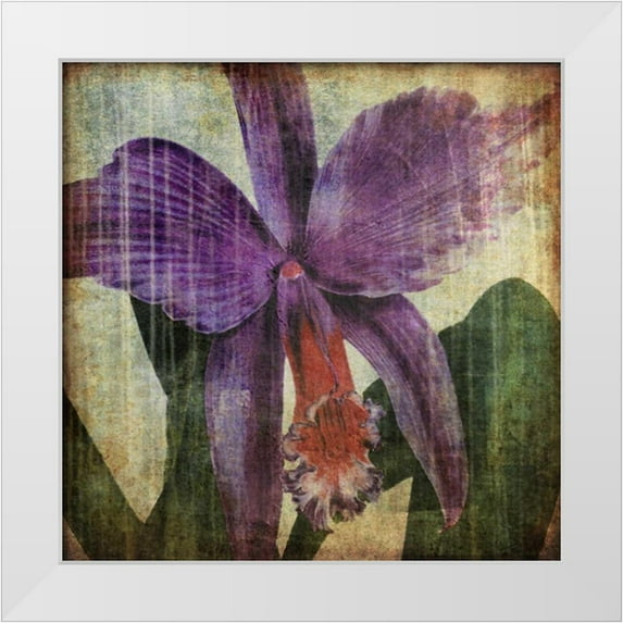 Butler, John 26x26 White Modern Wood Framed Museum Art Print Titled - Pacific Orchid II