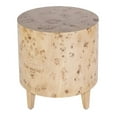thumbnail image 1 of Butler Specialty Company Billie Burl Wood End Table - Light Burl, 1 of 6