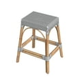 thumbnail image 1 of Butler Specialty Company Robias Rattan 24.5" Counter Stool - White And Gray Dot, 1 of 8