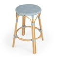thumbnail image 1 of Butler Specialty Company Tobias Rattan Round 24" Counter Stool - Baby Blue, 1 of 8