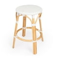 thumbnail image 1 of Butler Tobias White Rattan Counter Stool, 1 of 7