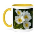 thumbnail image 1 of 3dRose, Buttercup, Anemone, White alpine flower - NA01 FZU0001 - Frank Zurey, 11oz Two-Tone Yellow Mug, 1 of 3