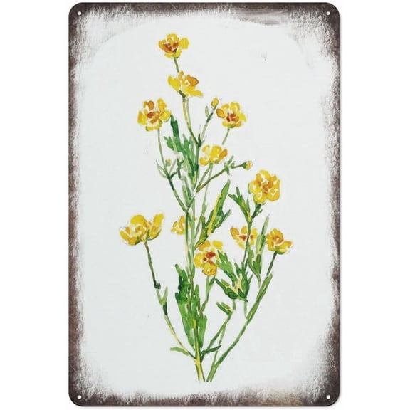 Buttercup Flower Painting Yellow Abstract Watercolor Kitchen Wall Poster Living Fun Office Wall Art Poster Coffee Bar Tin Sign Cubicle Decor Desk Home Gift Vintage Decor Metal Logo 8x12 inches