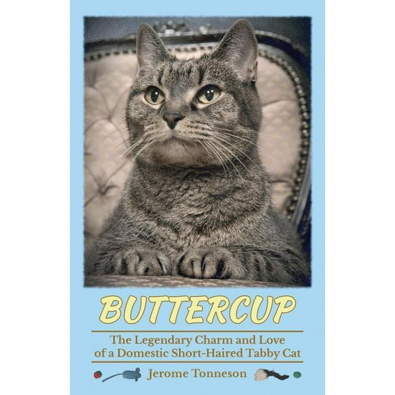 Buttercup - The Legendary Charm and Love of a Domestic Short-Haired Tabby Cat