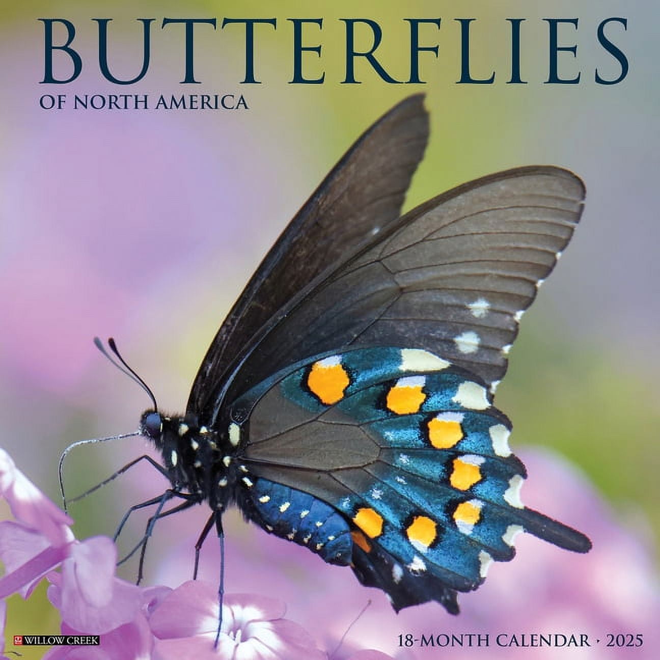 2025 Caterpillar Wall Calendar Erica Jacinda