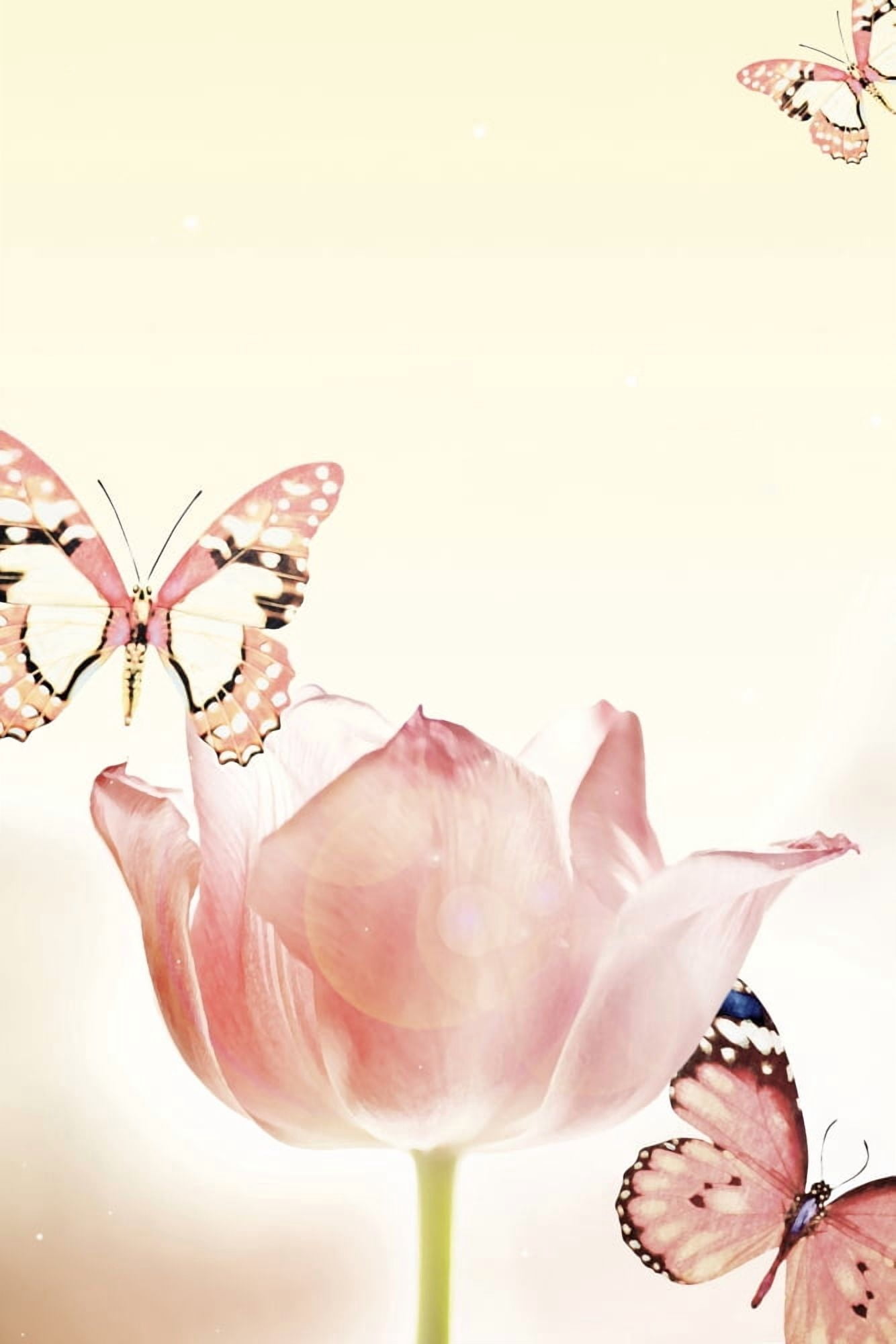 Butterflies And Tulips Canvas Art - Chris and Kate Knorr Design Pics (12 x 18)