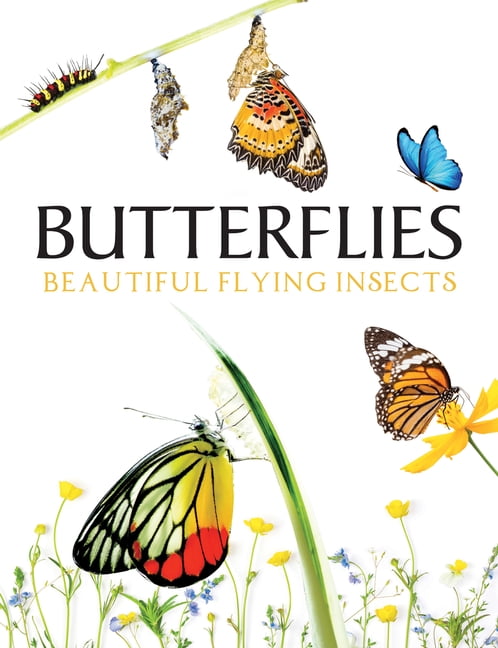 Butterflies: Beautiful Flying Insects, (Hardcover) - Walmart.com