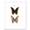 thumbnail image 1 of Butterflies Black and Brown Pattern Art Print Framed Poster Wall Decor 9x7 inch, 1 of 5