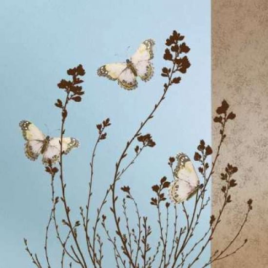 Butterflies Canvas Art - Caroline Gold (24 x 24)