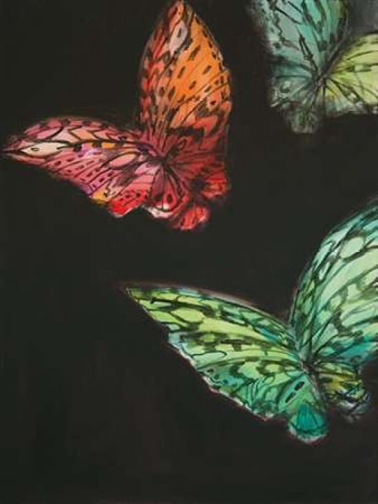 Butterflies Canvas Art - JC Pino (22 x 28)