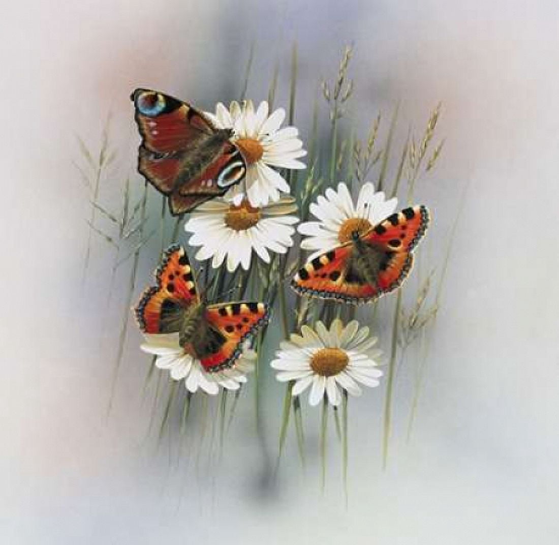 Butterflies Canvas Art - Jan Weenink (24 x 24)