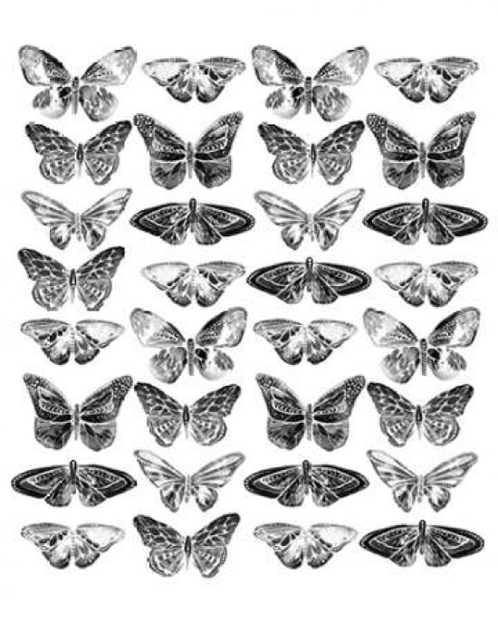 Butterflies Canvas Art - Sofie Rolfsdotter (24 x 30)
