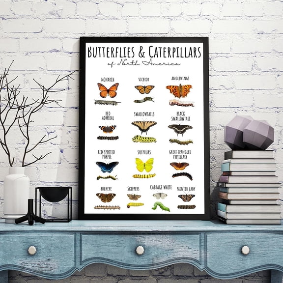 Butterflies Caterpillars North America Knowledge Retro Butterfly Chart Educational Portrait Decor Unframed Paper Print