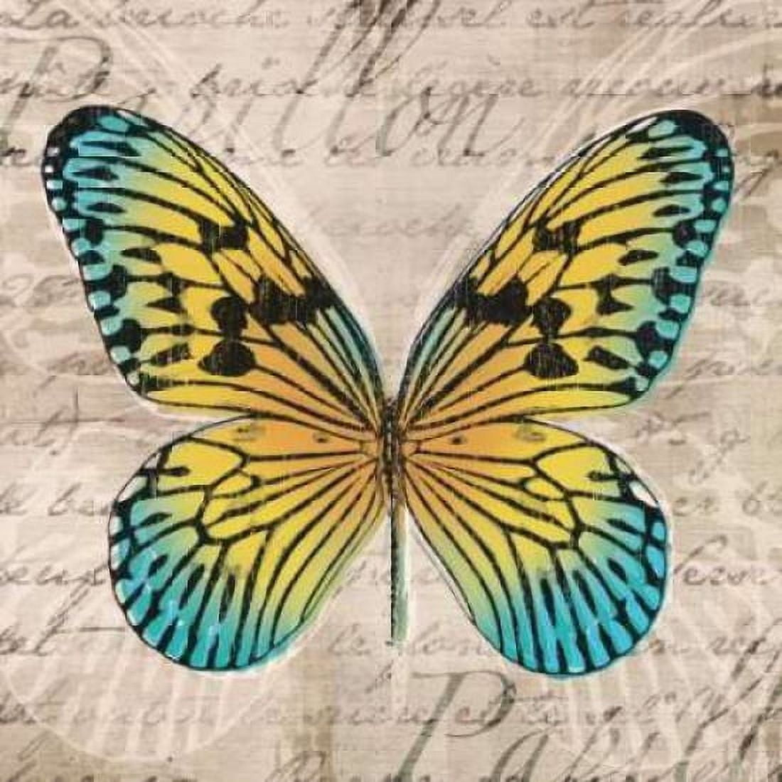 Butterflies I Canvas Art - Tandi Venter (24 x 24)