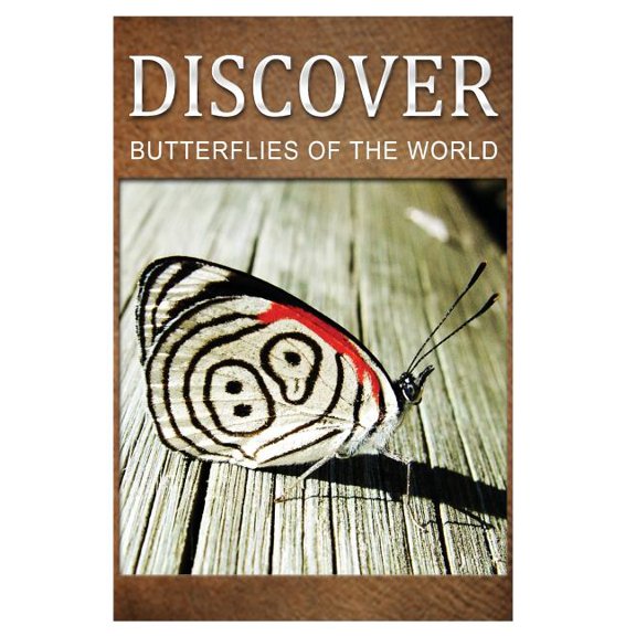 Butterflies Of The World - Discover : Early reader's wildlife photography book (Paperback)