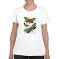 thumbnail image 1 of Butterflies On Paper Iii. T-Shirt Women -Fab Funky Designs, Female 5X-Large, 1 of 4