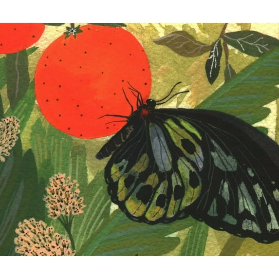 Butterflies : Quicknotes (General merchandise)