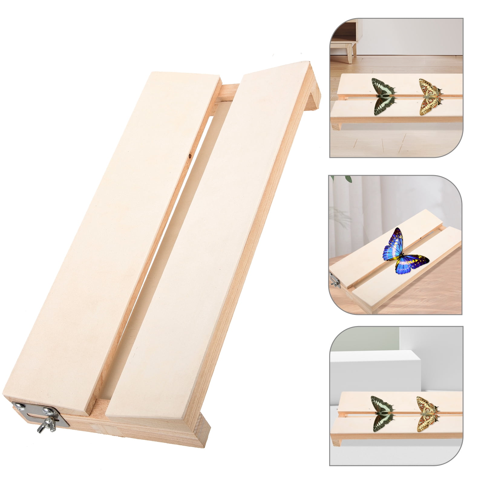 Insect Study Board OUNONA 1Pcs Adjustable Specimen Display Board for Insect Spreading ...