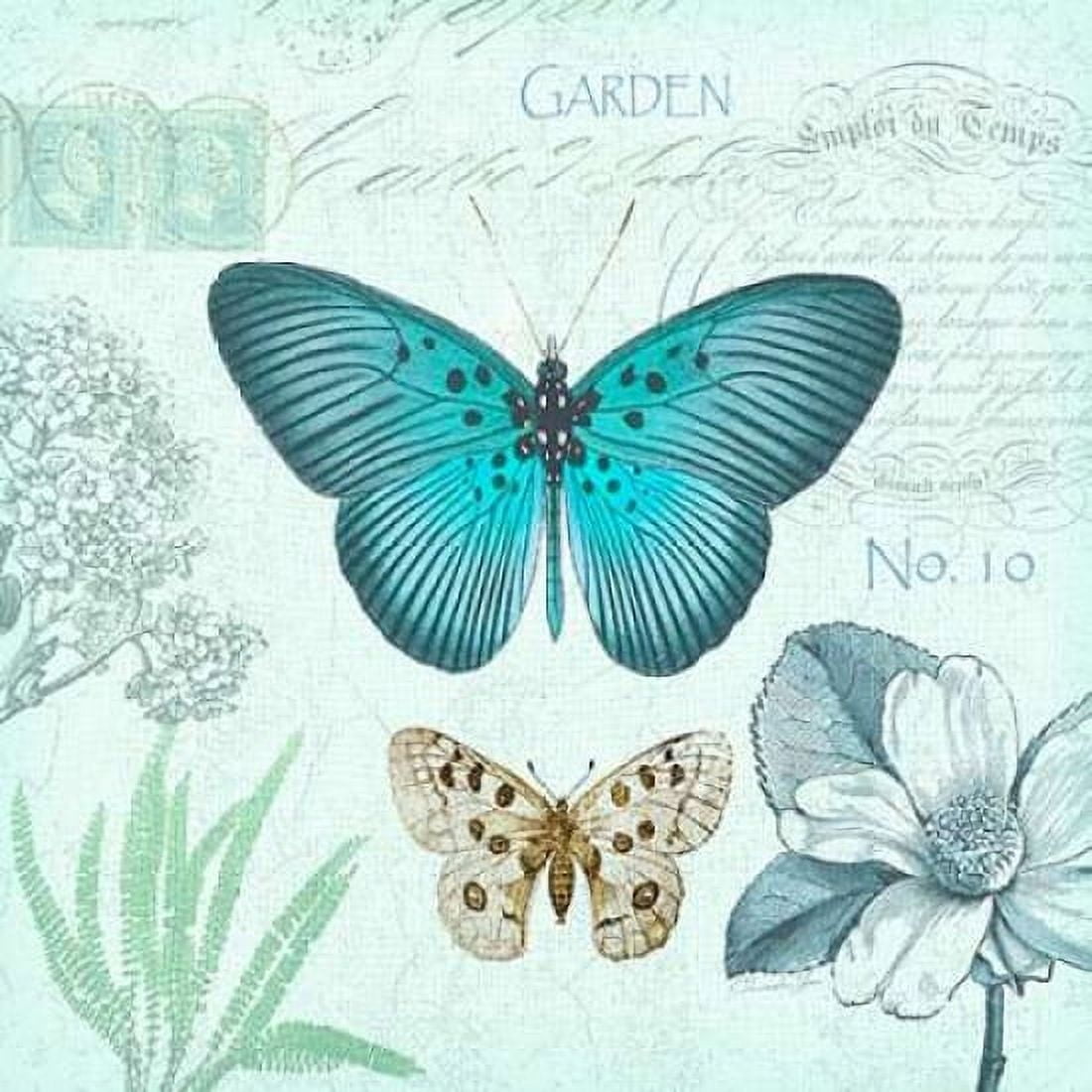Butterflies and Botanical 2 Canvas Art - Christopher James (24 x 24)