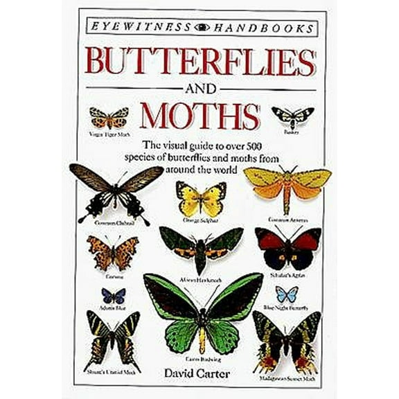 Pre-Owned Butterflies and Moths (Eyewitness Handbooks) Paperback