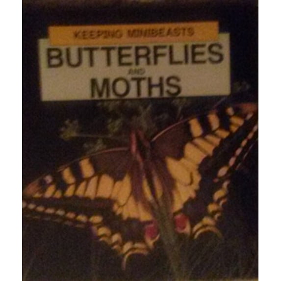Pre-Owned Butterflies and Moths (Keeping Minibeasts) Paperback
