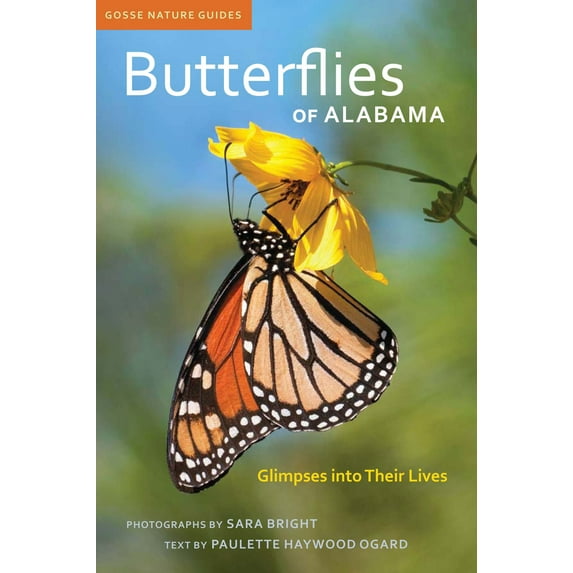 Pre-Owned Butterflies of Alabama: Glimpses Into Their Lives (Paperback) 0817355952 9780817355951