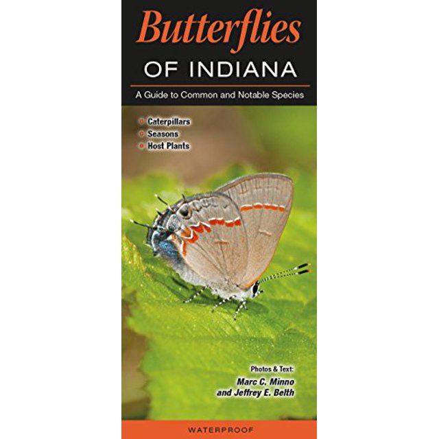 PreOwned Butterflies of Indiana A Guide to Common and Notable Species