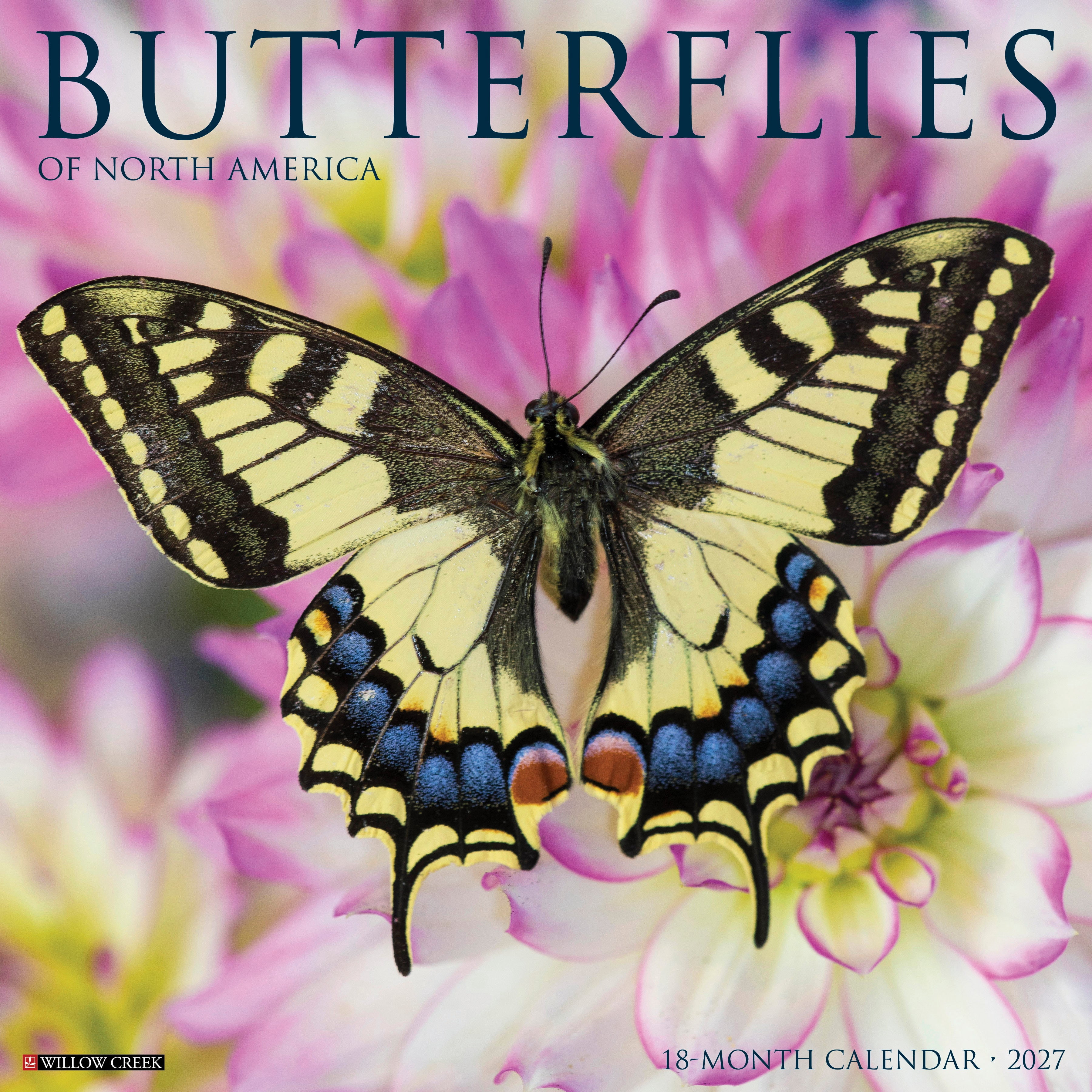 Willow Creek Press, Butterflies of North America 2027 Wall Calendar