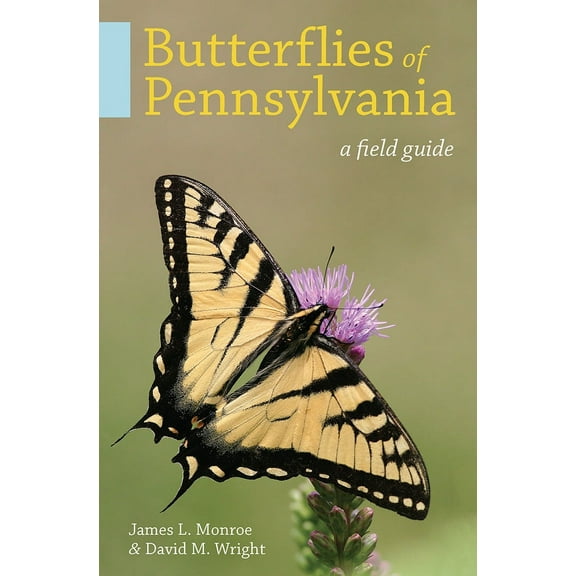 Butterflies of Pennsylvania : A Field Guide (Paperback)