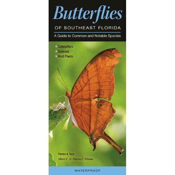 Pre-Owned Butterflies of Southeast Florida: A Guide to Common & Notable Species (Quick Reference Guides) Paperback