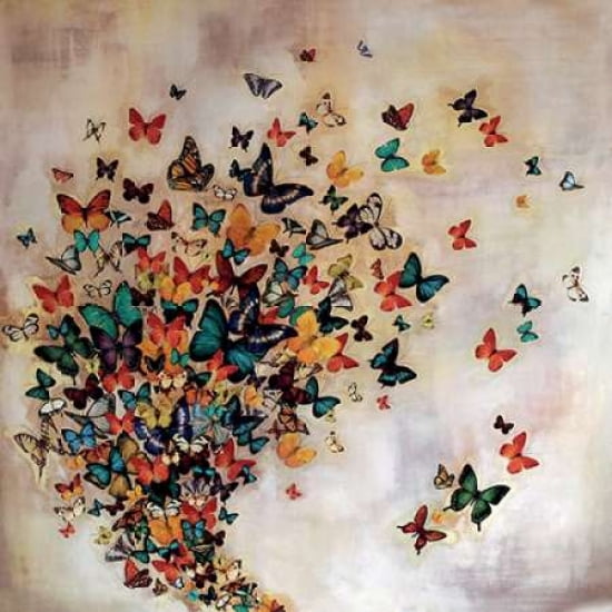 Butterflies on Pale Ochre Canvas Art - Lily Greenwood (24 x 24)