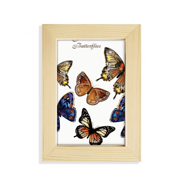 Butterflies with different colour Wings Desktop Display Photo Frame Picture Art Painting 5x7 inch