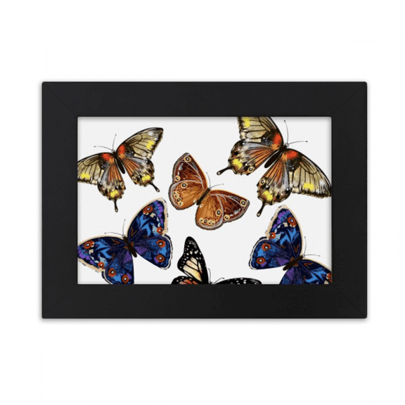 Butterflies with different colour Wings Desktop Photo Frame Ornaments Picture Art Painting