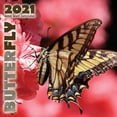 thumbnail image 1 of Butterfly 2021 Mini Wall Calendar (Paperback), 1 of 1