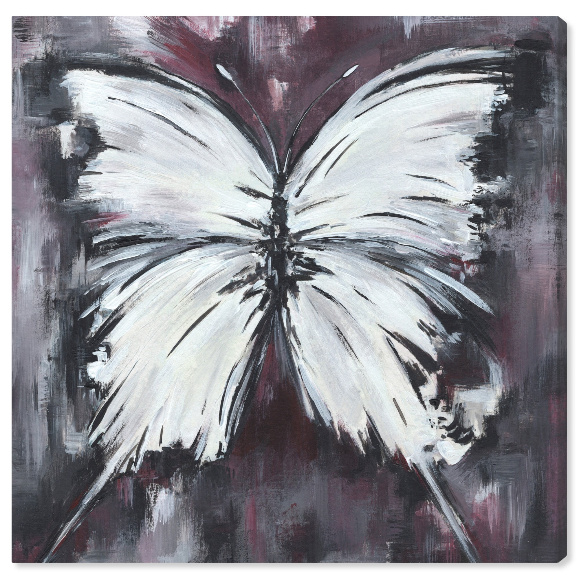 White and Gray Butterfly Canvas Art Print, 16" x 16"