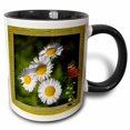 thumbnail image 1 of 3drose, Butterfly and Wild Daisies, 15oz Two-tone Black Mug, 1 of 6
