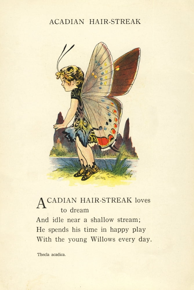 Butterfly Babies 1914 Acadian Hair-streak Canvas Art - MT Ross (18 x 24)