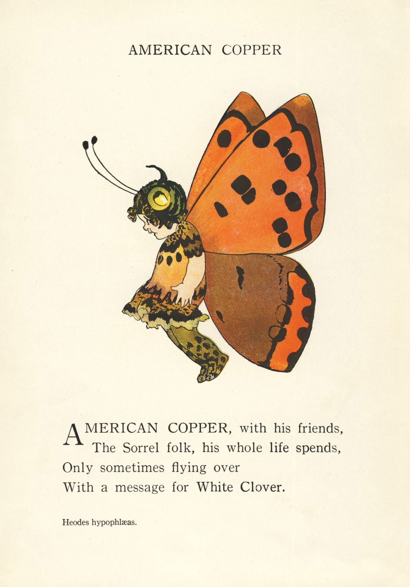 Butterfly Babies 1914 American Copper Canvas Art - MT Ross (18 x 24)