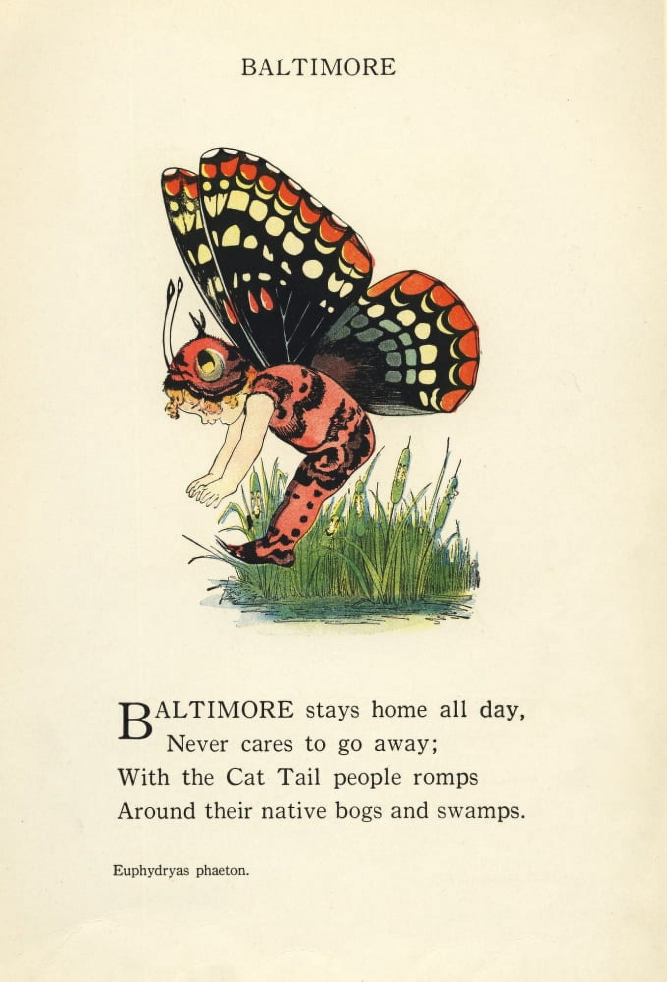 Butterfly Babies 1914 Baltimore Canvas Art - MT Ross (24 x 36)