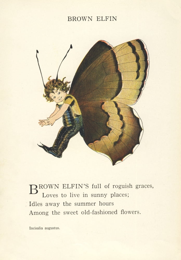 Butterfly Babies 1914 Brown Elfin Canvas Art - MT Ross (24 x 36)