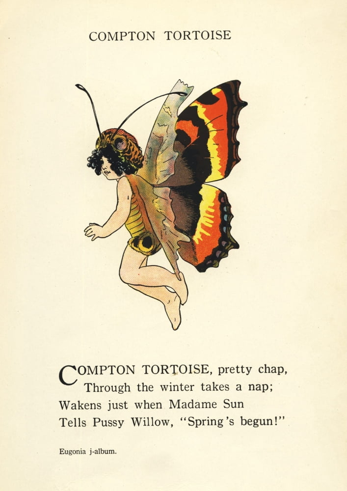 Butterfly Babies 1914 Compton Tortoise Canvas Art - MT Ross (18 x 24)