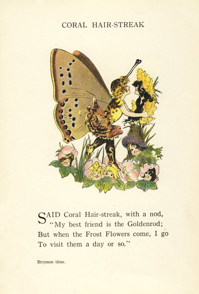 Butterfly Babies 1914 Coral Hair-streak Canvas Art - MT Ross (18 x 24)