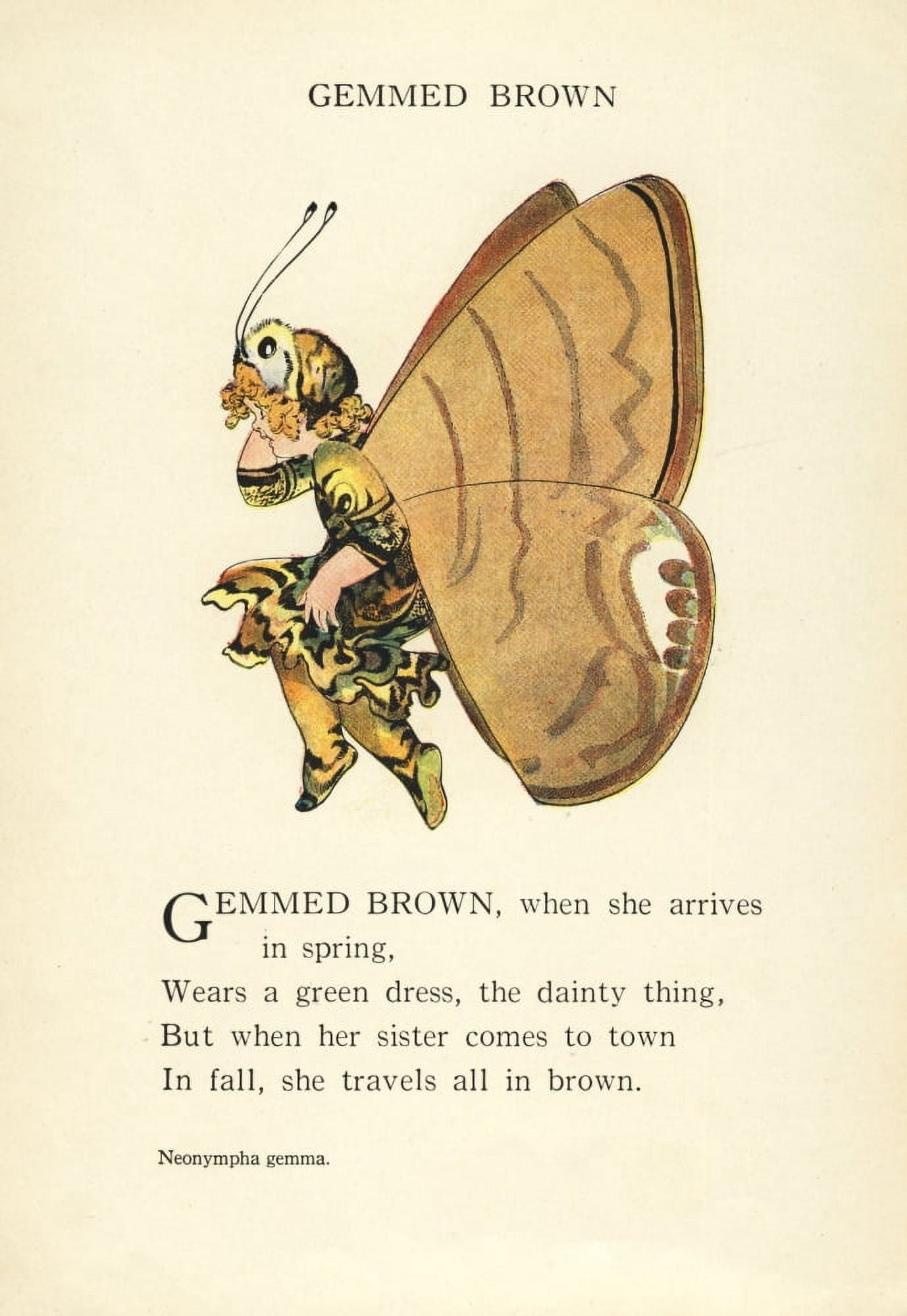 Butterfly Babies 1914 Gemmed Brown Canvas Art - MT Ross (24 x 36)
