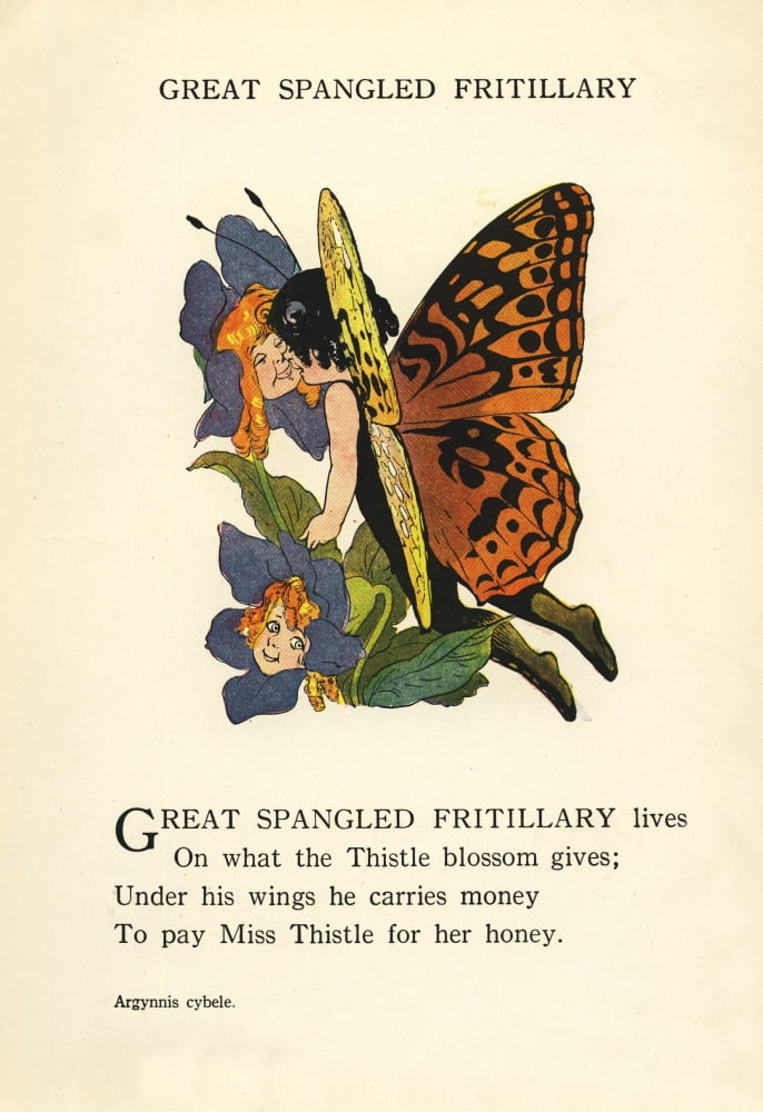 Butterfly Babies 1914 Great Spangled Fritillary Canvas Art - MT Ross (18 x 24)