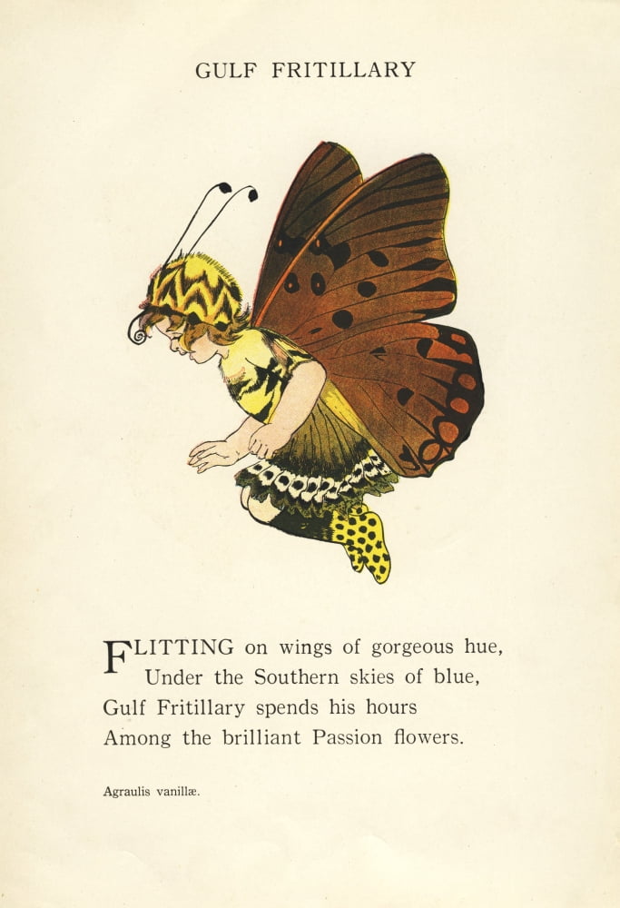 Butterfly Babies 1914 Gulf Fritillary Canvas Art - MT Ross (18 x 24)