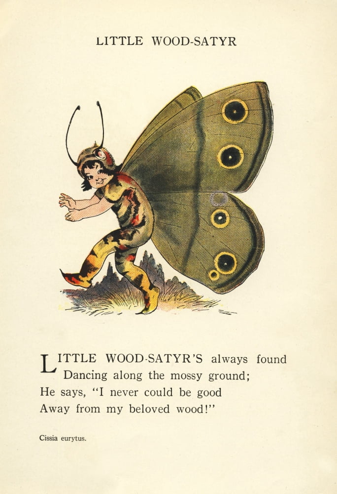 Butterfly Babies 1914 Little Wood-Satyr Canvas Art - MT Ross (24 x 36)